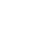 צים